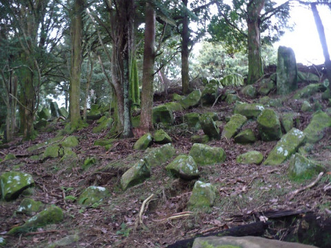 Natural Basalt Stone Feild